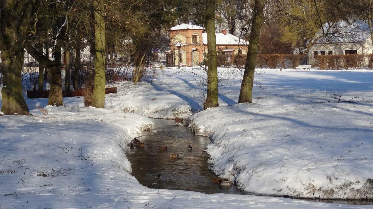 Apartament Parkowy Nałęczów Eksteriør bilde